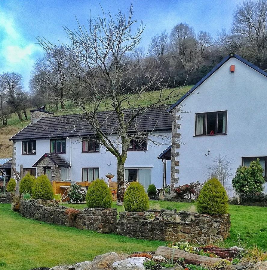 Neuadd Wen Guest House Carmarthen Exterior photo